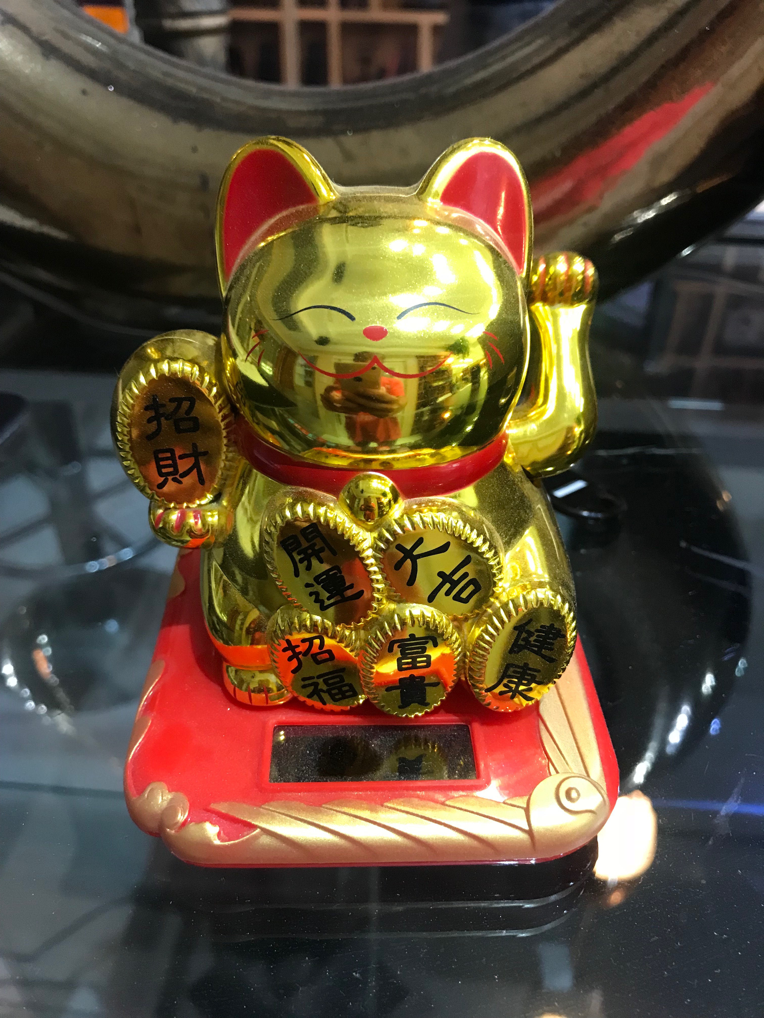 毛根